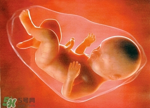 人造子宮能生孩子嗎？人造子宮成功案例