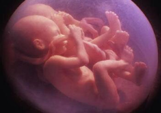 胎兒在媽媽肚子里都會干啥？胎兒的神奇世界