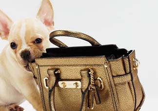 蔻馳是奢侈品嗎？蔻馳算不算奢侈品？