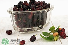 自制桑葚酒的危害_自制桑葚酒有毒嗎 自制桑葚酒的危害_自制桑葚酒有毒嗎