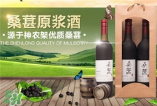 桑葚酒的營養(yǎng)價(jià)值_桑葚酒的功效與作用 桑葚酒的營養(yǎng)價(jià)值_桑葚酒的功效與作用