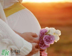 人造子宮初現(xiàn)曙光，未來(lái)將是男媽媽的天下？