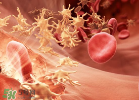 尸血會感染艾滋嗎？尸血可以治療血友病嗎？