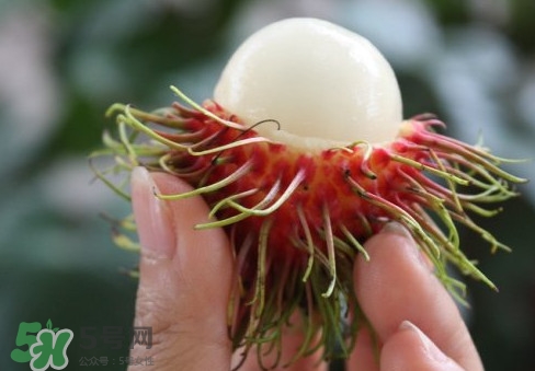 紅毛丹什么時候上市？紅毛丹什么季節(jié)有？