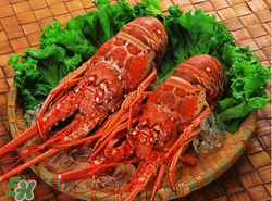 什么時候釣龍蝦最好？龍蝦幾月份能釣？