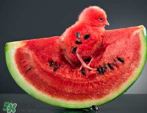 5月份的西瓜能吃嗎？五月份的西瓜能吃嗎？