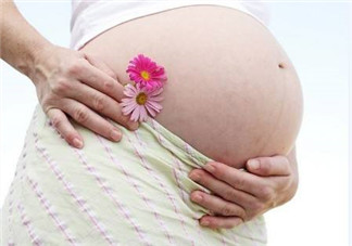 人造子宮初現(xiàn)曙光，未來將是男媽媽的天下？