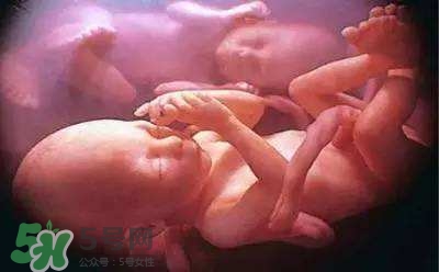 胎兒在媽媽肚子里都會干啥？胎兒的神奇世界