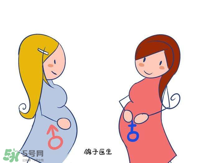 怎么問醫(yī)生胎兒性別？醫(yī)生會告訴胎兒性別嗎？