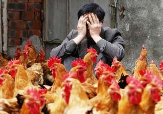 五月份還有禽流感嗎？禽流感幾月份結(jié)束？