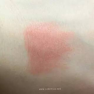 西柚色口紅有哪些？西柚色口紅推薦