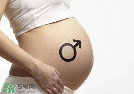 怎么問醫(yī)生胎兒性別？醫(yī)生會告訴胎兒性別嗎？