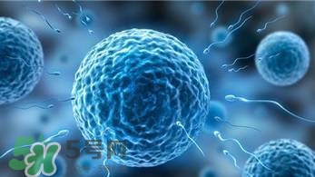 怎么問醫(yī)生胎兒性別？醫(yī)生會告訴胎兒性別嗎？