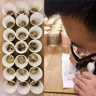 麥片什么牌子好？進口麥片哪個牌子好吃