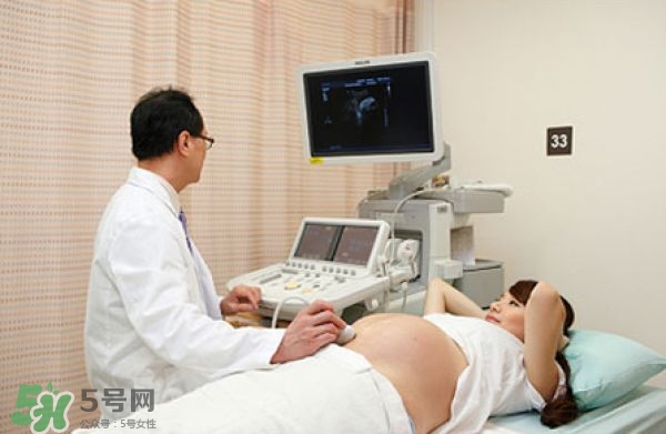 怎么問醫(yī)生胎兒性別？醫(yī)生會告訴胎兒性別嗎？