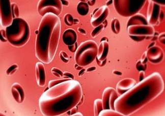 尸血會(huì)感染艾滋嗎？尸血可以治療血友病嗎？