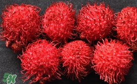 紅毛丹什么時候上市？紅毛丹什么季節(jié)有？