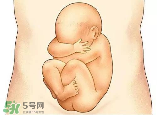 胎兒在媽媽肚子里都會干啥？胎兒的神奇世界