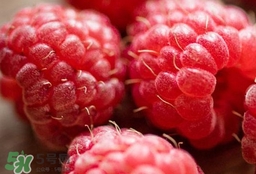 山莓能不能生吃？山莓可不可以生吃？