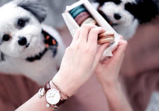 dw手表香港專柜在哪里？dw手表香港多少錢？