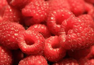 <strong>山莓是什么？山莓是水果嗎？</strong>