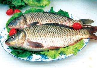 ?五月份吃什么魚？5月份吃什么魚？