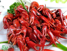 野生小龍蝦能吃嗎？野生小龍蝦吃了會(huì)中毒嗎？