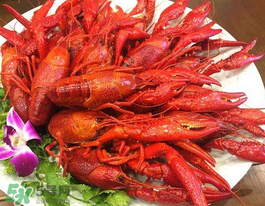 野生小龍蝦能吃嗎？野生小龍蝦吃了會(huì)中毒嗎？