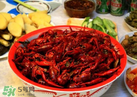 野生小龍蝦什么時(shí)候有？野生小龍蝦幾月份有？