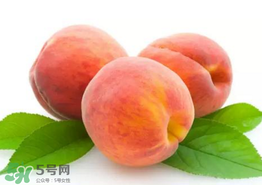 桃子為什么不能和西瓜一起吃？桃子和西瓜為什么不能一起吃？