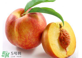 桃子可以放冰箱嗎？桃子能放冰箱保鮮嗎？