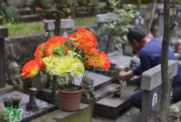 母親節(jié)能掃墓嗎？母親節(jié)給母親上墳合適嗎？