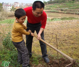 五月份適合種哪些果樹？五月份種什么水果？