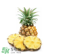 孕婦能吃菠蘿嗎？菠蘿孕婦能不能吃？