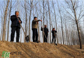 五月份能種樹嗎？五月份種樹能活嗎？