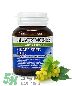 Blackmores葡萄籽吃法介紹 Blackmores葡萄籽怎么吃？