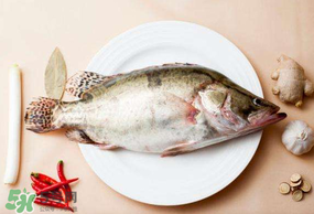 ?五月份吃什么魚？5月份吃什么魚？