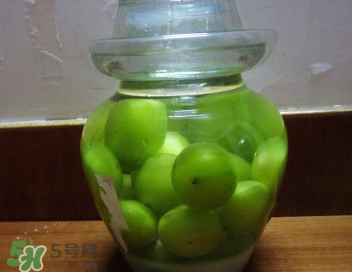 三華李可以泡酒嗎？三華李可以多吃嗎？