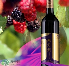 自制桑葚酒怎么發(fā)酵?桑葚酒發(fā)酵多長時間? 自制桑葚酒怎么發(fā)酵?桑葚酒發(fā)酵多長時間?