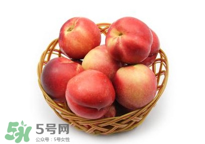 三華李可以泡酒嗎？三華李可以多吃嗎？