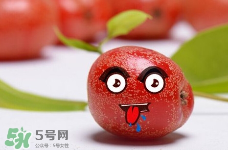 羊奶子有什么藥用價(jià)值？羊奶子有什么功效