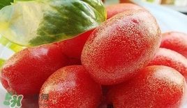 羊奶果怎么吃？羊奶果怎么種