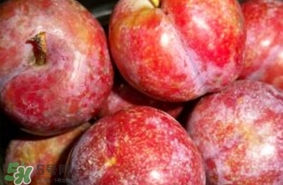 三華李能放冰箱嗎？三華李可以放冰箱嗎