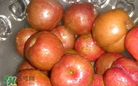 三華李可以泡酒嗎？三華李可以多吃嗎？