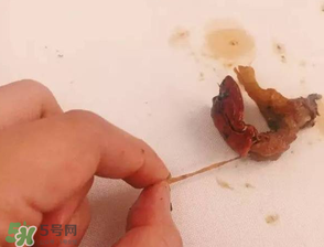 周黑鴨小龍蝦好吃嗎？周黑鴨小龍蝦試吃評(píng)測(cè)