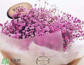 母親節(jié)可以送滿天星嗎？母親節(jié)能送滿天星嗎？