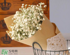 母親節(jié)可以送滿天星嗎？母親節(jié)能送滿天星嗎？