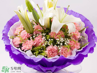 康乃馨多少錢一束2017？康乃馨多少錢一朵2017？