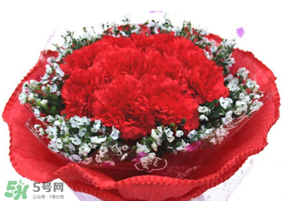 康乃馨多少錢一束2017？康乃馨多少錢一朵2017？