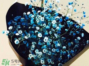 滿天星多少錢一束2017？滿天星多少錢一支2017？